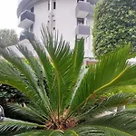 Hotel Franz 3*