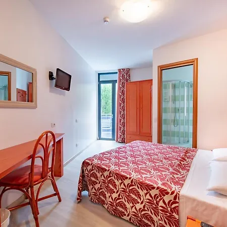 Franz Hotel 3*