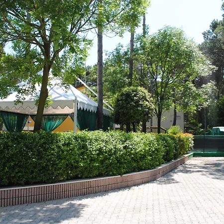 Franz ビビオーネ