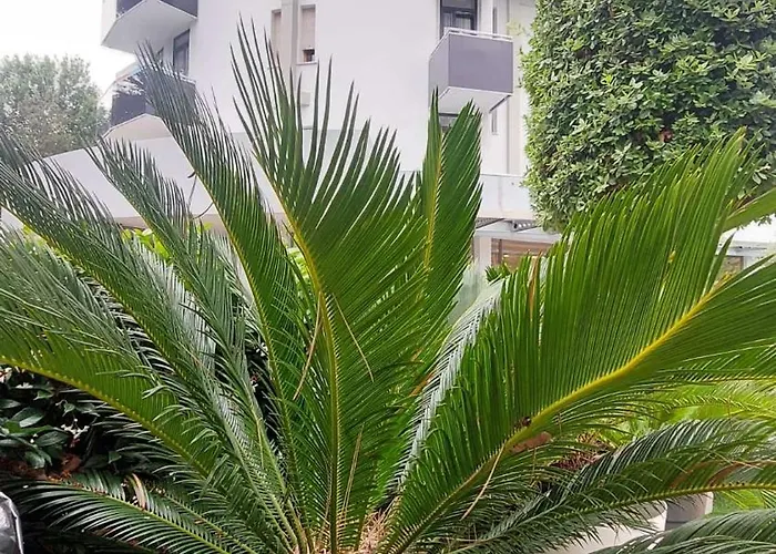 Ξενοδοχείο Franz 3*